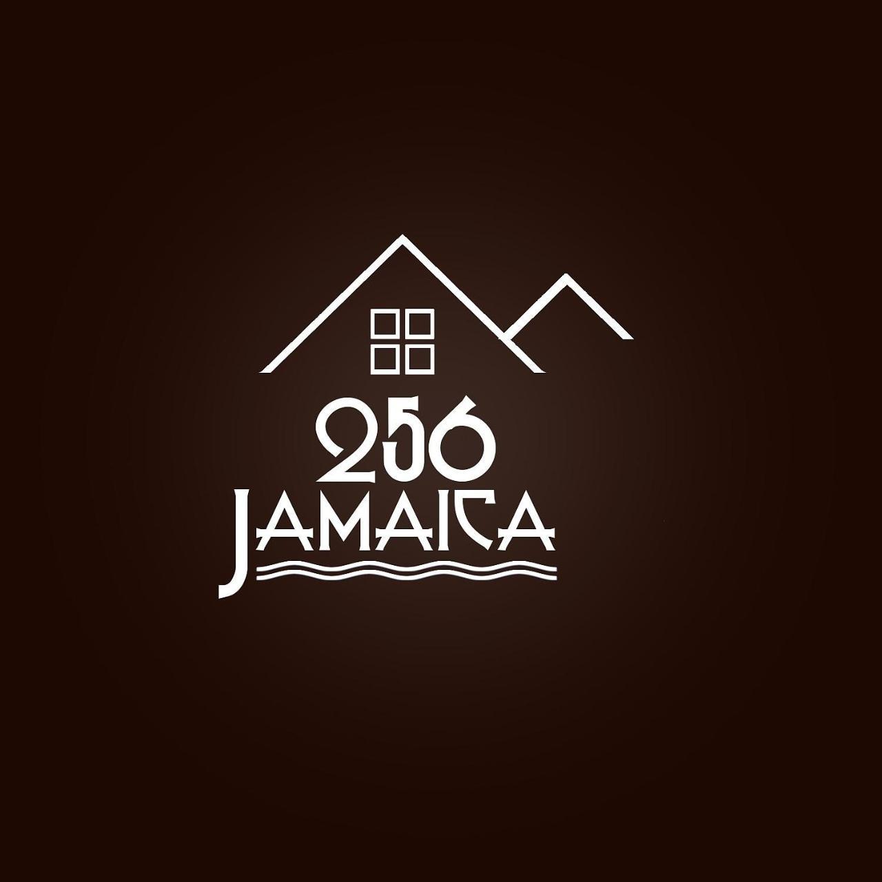 蒙特哥贝256 Jamaica别墅 外观 照片
